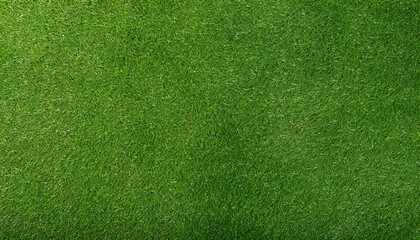 Flat lay Artificial lawn synthetic turf Artficial grass texture background	
