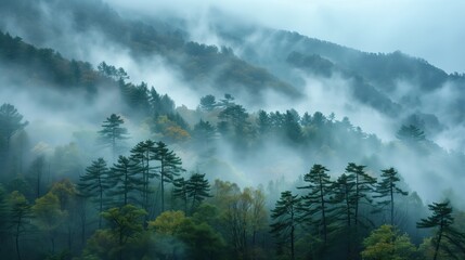 Mystical foggy forest landscape with autumn colors, evoking the concept of nature, tranquility, and the changing seasons