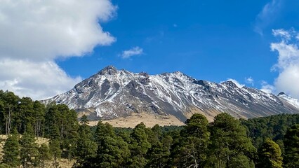 Scenic view of snowcapped mountain with trees and a blue sky