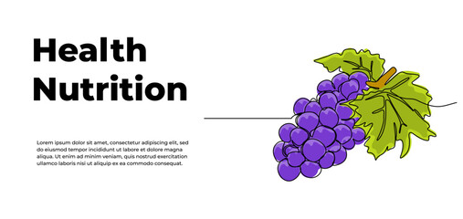 Grape one continuous line design. Fruits symbol design concept. Decorative elements drawn on a white background.