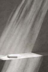 A background rich in shading that you can use in your designs. Textured walls and podium with sunlight shining through.