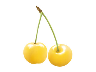 2個の黄色いサクランボのリアルな水彩イラスト