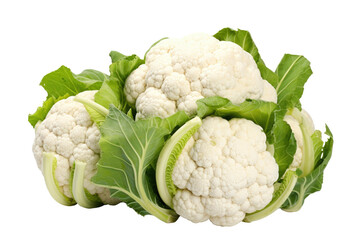 Cauliflower Plant Display Isolated On Transparent Background