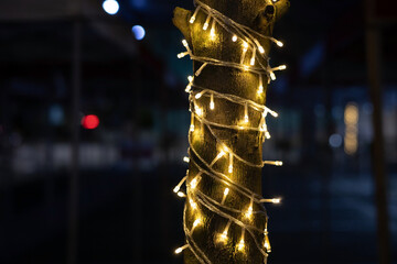Tree decorated with LED lights