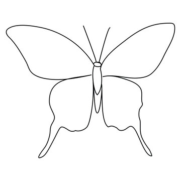 recommend clip art: Continuous one line butterfly outline vector isolated on white background. Vector Illustration