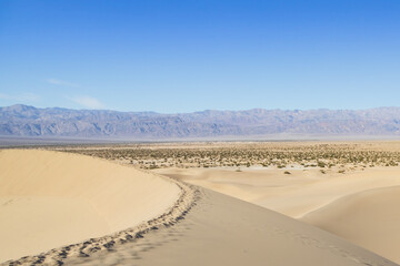 Footprints in the sand at the Mesquite Flat Sand Dunes, Death Valley National Park, California