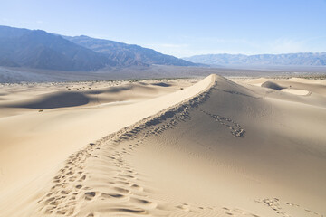 Footprints in the sand at the Mesquite Flat Sand Dunes, Death Valley National Park, California