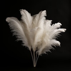 illustration of a plume of 6 white ostrich feathers, Generative ai