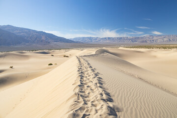 Footprints in the sand at the Mesquite Flat Sand Dunes, Death Valley National Park, California
