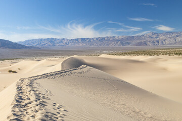 Fototapeta na wymiar Footprints in the sand at the Mesquite Flat Sand Dunes, Death Valley National Park, California
