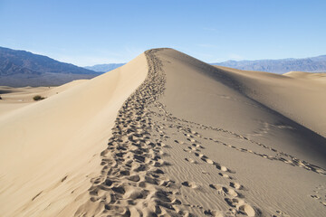 Footprints in the sand at the Mesquite Flat Sand Dunes, Death Valley National Park, California