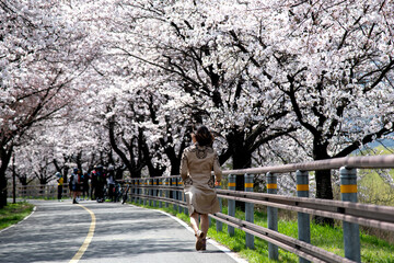 a woman walking with cherry blossoms in the street
