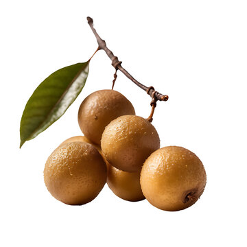 Longan image isolated on a transparent background PNG photo