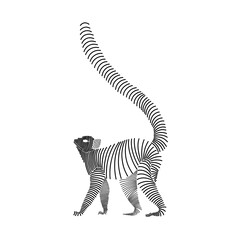 Simple line art illustration of a ring tailed lemur 2 © ydhckll