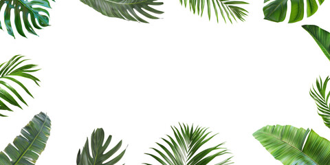 Tropical green leaf frame border on white background