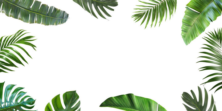 Tropical green leaf frame border on white background