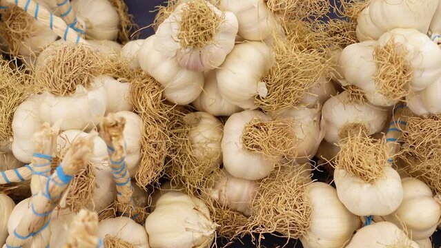 close up pf garlic on white background,