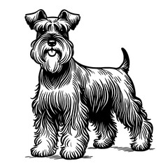Black and white Schnauzer dog. Vector sketch isolated in white.