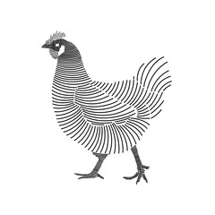 Simple line art illustration of a hen 2