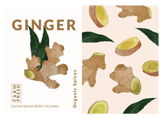 Ginger packaging design templates, watercolour style vector illustration.
