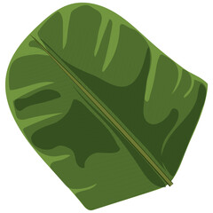 Illustration of a banana leaf.