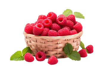 Fresh Raspberry Basket