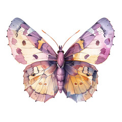 Soft BrushstrokesWatercolor Butterfly Clipart