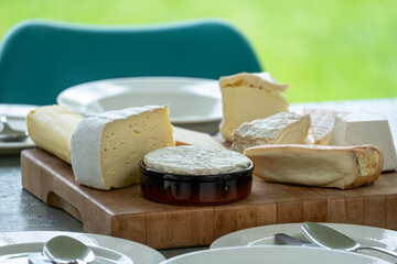 A variety of gourmet cheeses are tastefully arranged on a wooden cutting board, ready to be enjoyed. The selection includes soft, creamy cheeses, each with a distinct texture and rind. The board is