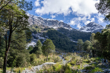 Fototapeta na wymiar Mountains and a Forest in Northern Patagonia with Snow Capped Peaks