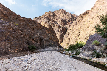 Shallow mountain river flows between the banks overgrown with the greenery in the gorge Wadi Al Ghuwayr or An Nakhil and the wadi Al Dathneh near Amman in Jordan