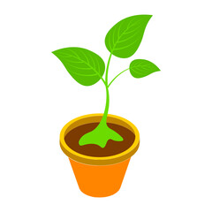 3D isometric of plant pot icon.