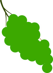Vector illustration of grapes element.