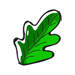 Vector illustration of grapes leaf doodle.