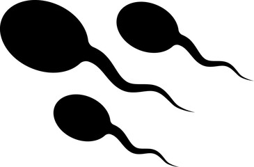 Sperm icon or symbol in black color.