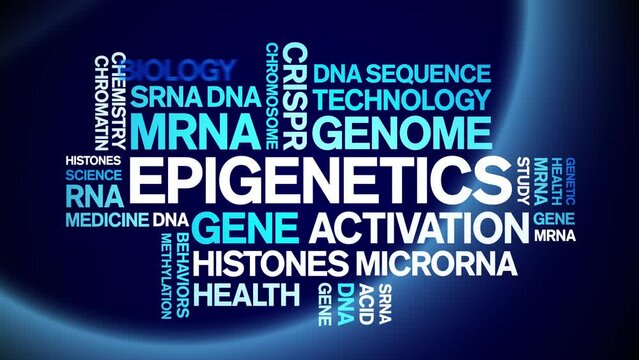 Epigenetics animated word cloud;text design animation tag kinetic typography seamless loop.