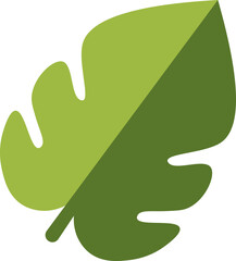 Green Leaf icon or symbol in flat style.