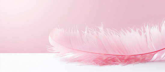 Soft and light pink feather isolated on background. Gentle Feather in Pale Pink Hue