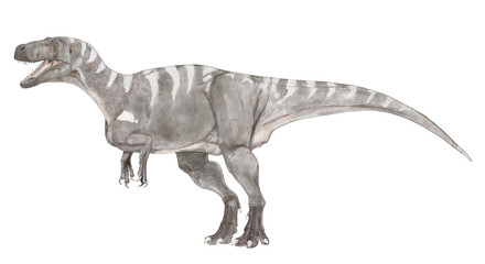 メガロサウルス　恐竜研究史において最初に発見された獣脚類ゆえに多くの化石が混入し近年ようやくメガロサウルス類として確立した。学名は『大きなトカゲ』であり、その名は、あまりにも大まかで曖昧。発見時の混乱を物語る。 - obrazy, fototapety, plakaty