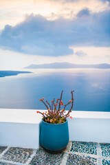 Beautiful sunset at Santorini island, Greece. Flowers on the terrace with sea view.