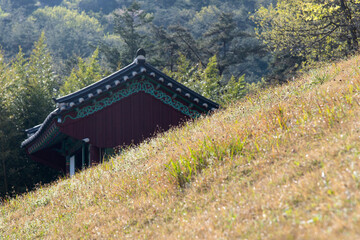 Fototapeta na wymiar The Buddhist temple on the mountain in April