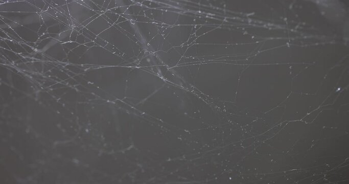 White threads of cobwebs on background of gray surface