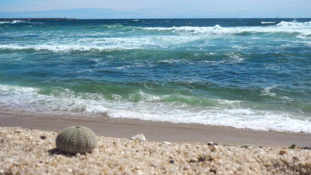 Beach with Sea Waves in the Background