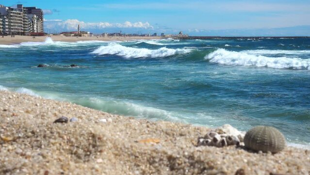 Beach with Sea Waves in the Background