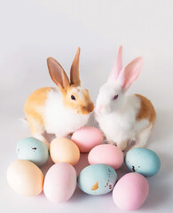 Obraz premium Pair of cute bunnies with heap of pastel colored easter eggs on pale blue background