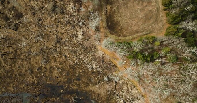 Point remove wildlife area, blackwell, arkansas, with dry and green vegetation contrast, aerial view