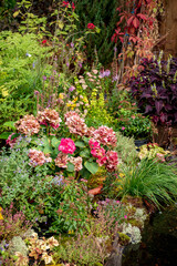 Fototapeta premium summer garden with different flowers