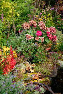summer garden with different flowers