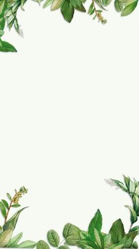Green Botanicals: Wedding Invitation Animation Background