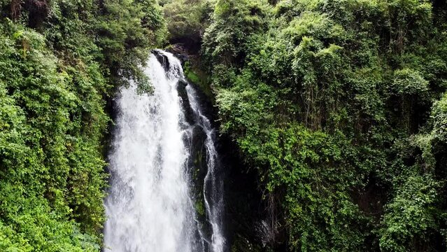 Lush greenery surrounds a cascading waterfall in Banos, Ecuador, nature's serenity captured