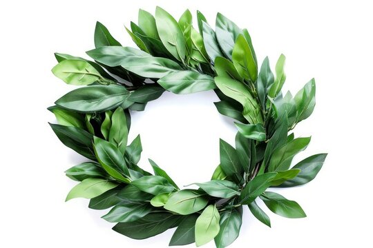 An isolated laurel wreath created from fresh branches of bay leaves, displayed on a white background and equipped with a clipping path, Generative AI